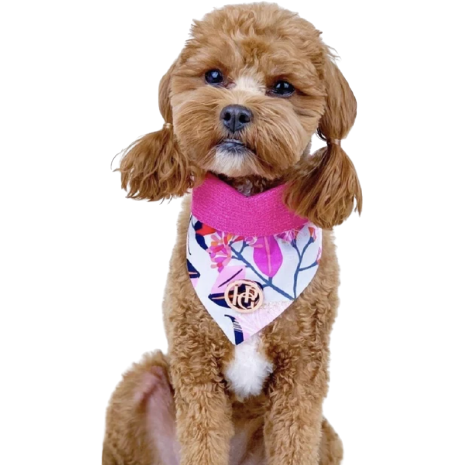 Pretty in Pink Dog Scarf - Krumpetz