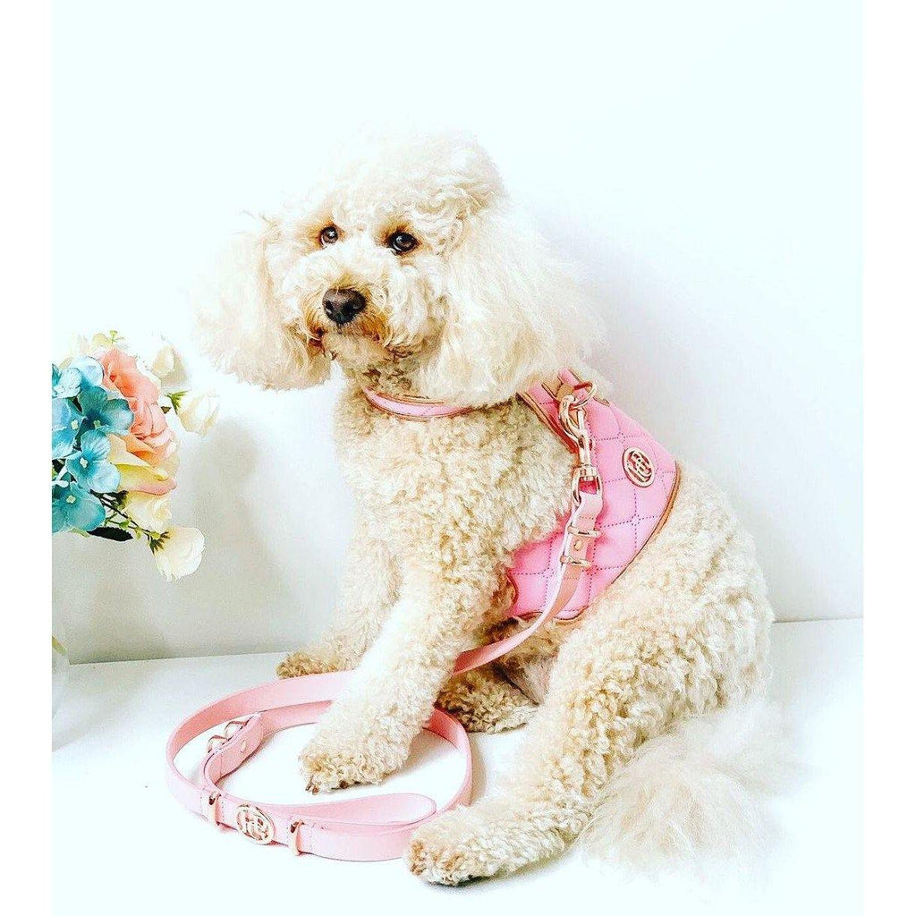 Sweet Pea Plaited Collar - Krumpetz