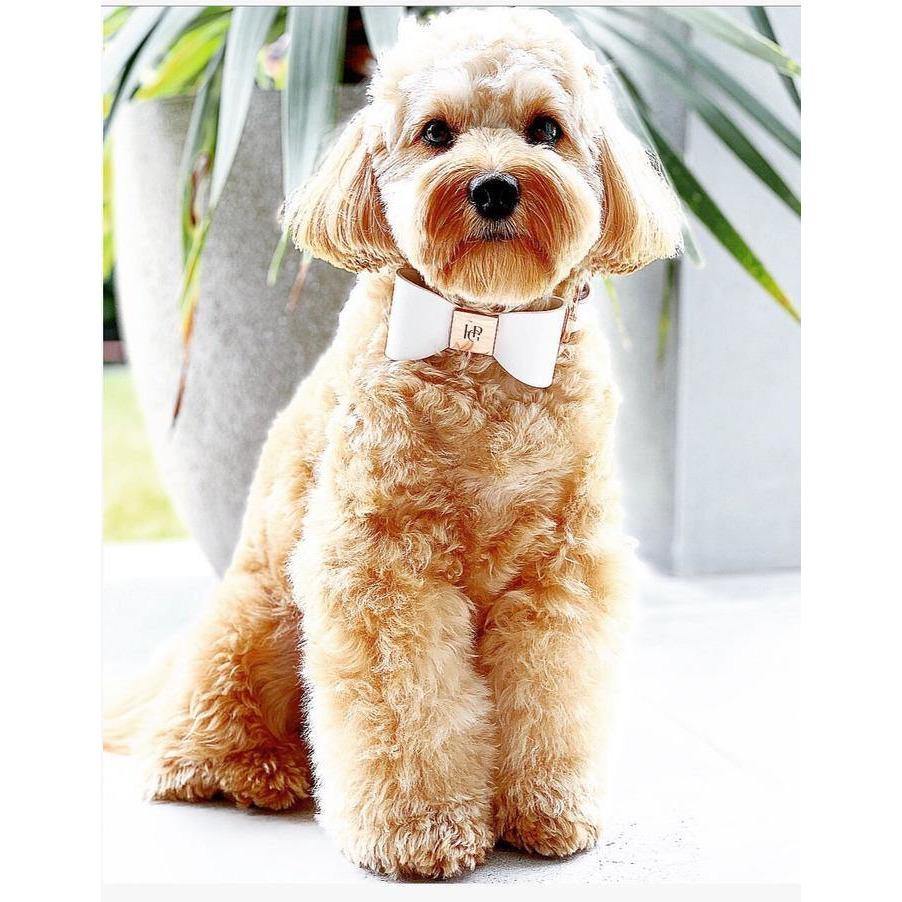 Leather Collar Bow Rose Gold Dusk Dog - Krumpetz