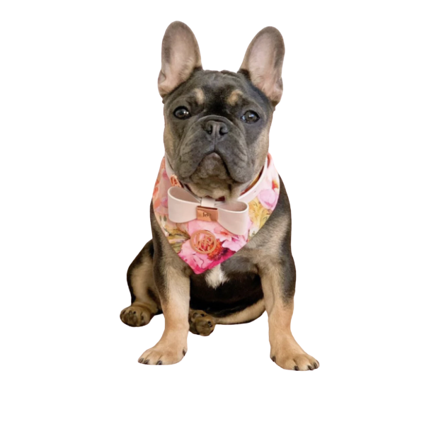 Boutique Dog Scarf - Krumpetz